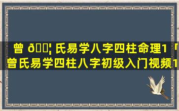 曾 🐦 氏易学八字四柱命理1「曾氏易学四柱八字初级入门视频11」